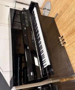 Blüthner Model D