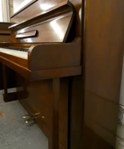 Blüthner Model D