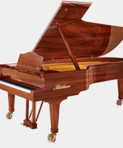 Blüthner Model 1