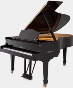 Blüthner Model 4