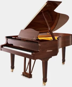 Blüthner Model 4