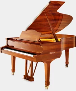Blüthner Model 4