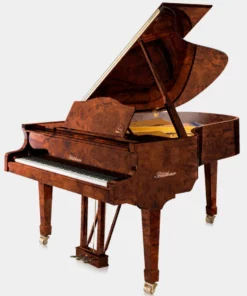 Blüthner Model 6