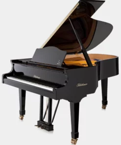 Blüthner Model 6
