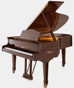 Blüthner Model 6