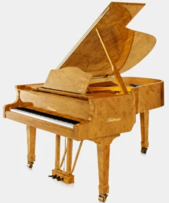 Blüthner Model 6
