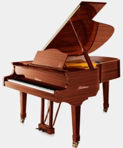 Blüthner Model 6