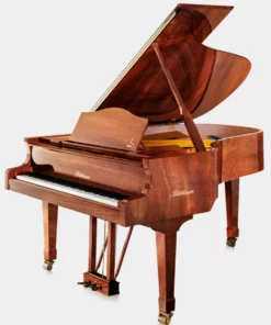 Blüthner Model 6