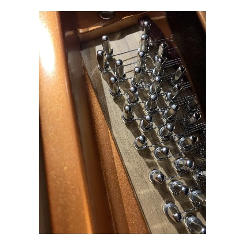 Bösendorfer 170VC - Nah Music