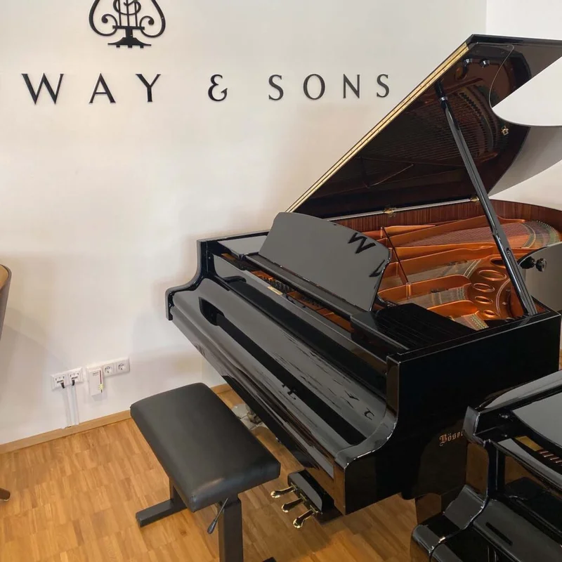 Bösendorfer 225VC - Nah Music