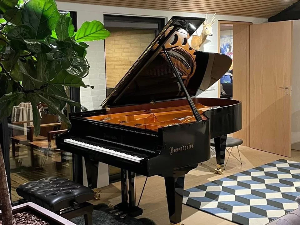 Bösendorfer 230VC - Nah Music