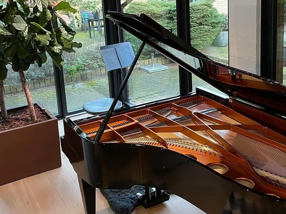 Bösendorfer 230VC - Nah Music