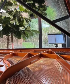 Bösendorfer 230VC