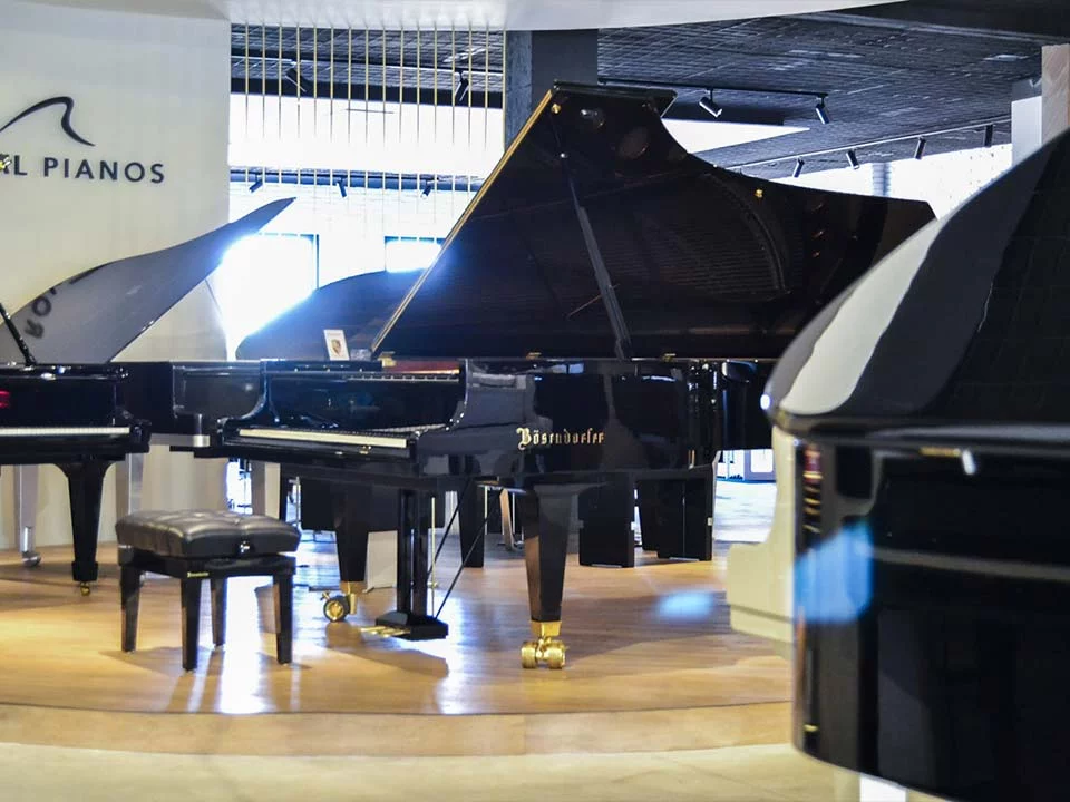 Bösendorfer 290 Imperial - Nah Music