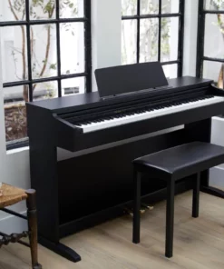 Casio AP-270