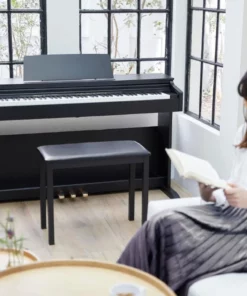 Casio AP-270