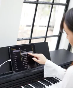 Casio AP-270