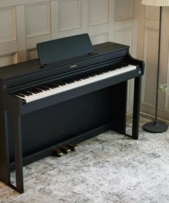 Casio AP-300BK