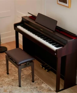 Casio AP-300BN