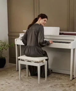 Casio AP-300BN