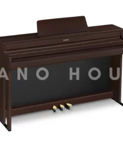 Casio AP-300BN
