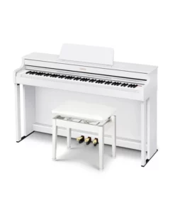 Casio AP-300WE