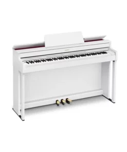 Casio AP-300WE