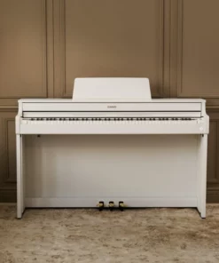 Casio AP-300WE