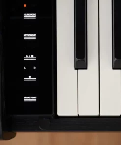 Casio AP-550 Black (BK)
