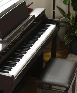 Casio AP-550 Rosewood (R)