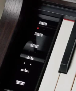 Casio AP-550 Rosewood (R)