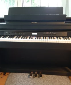 Casio AP-700