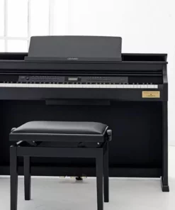 CASIO AP-710