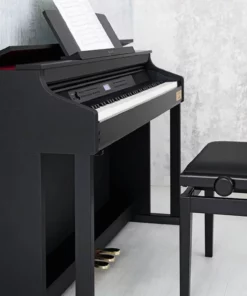 CASIO AP-710