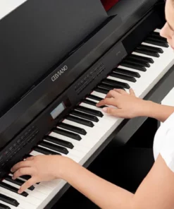 CASIO AP-710