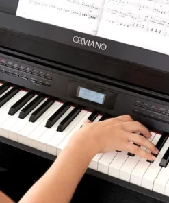 CASIO AP-710