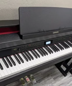 CASIO AP-710