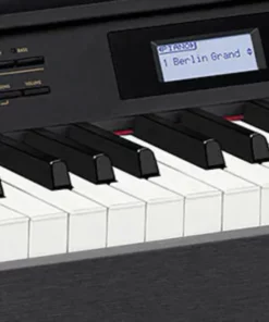 CASIO AP-710