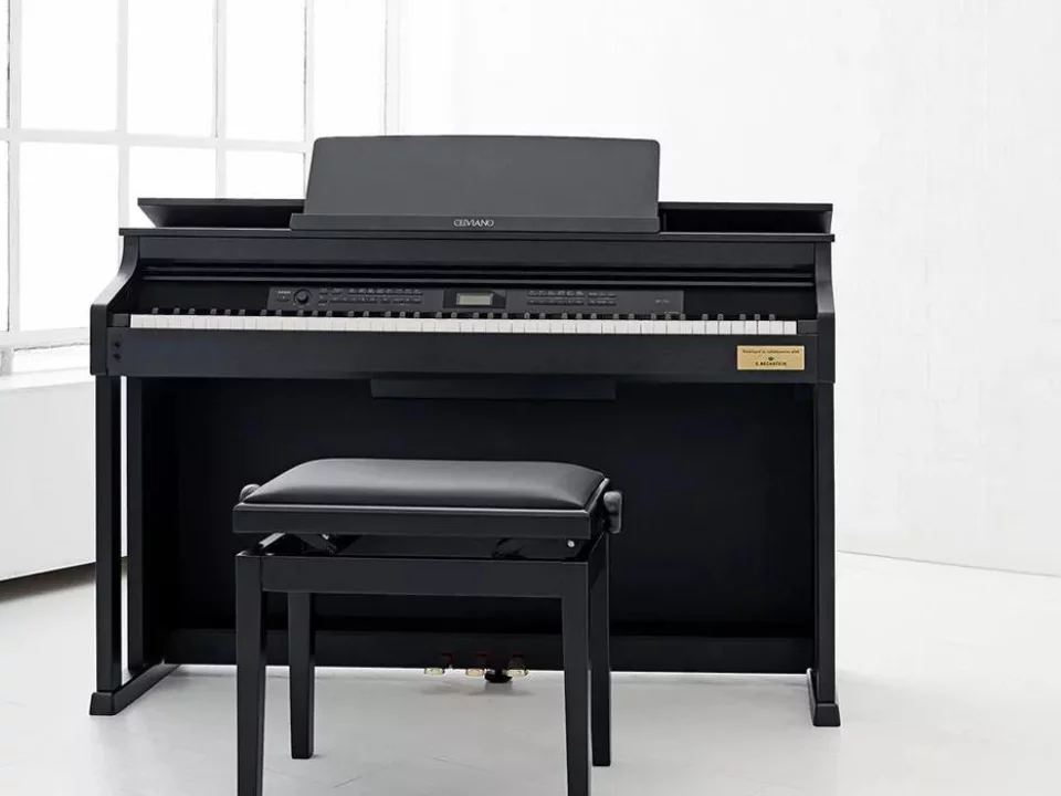 CASIO AP-710