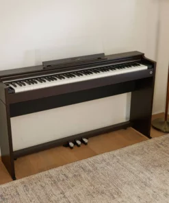 Casio AP-S200BN
