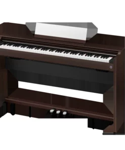 Casio AP-S200BN