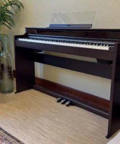 Casio AP-S450 Rosewood (R)
