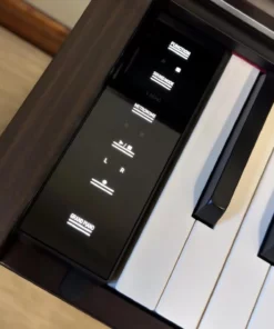 Casio AP-S450 Rosewood (R)