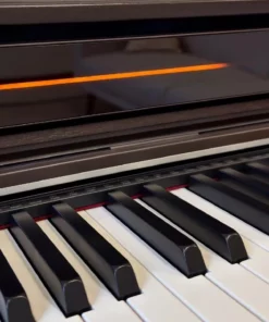 Casio AP-S450 Rosewood (R)