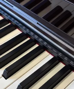 Casio AP-S450 Rosewood (R)