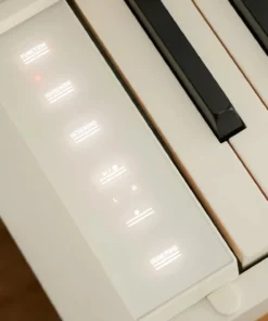 Casio AP-S450 White (WH)