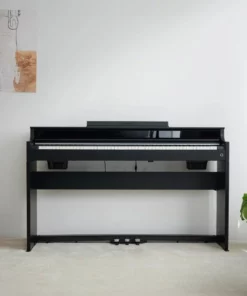 Casio AP-S450 Black (BK)