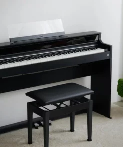 Casio AP-S450 Black (BK)