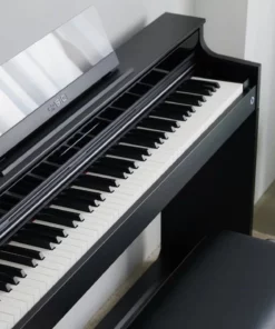 Casio AP-S450 Black (BK)