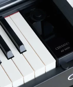 Casio AP-S450 Black (BK)